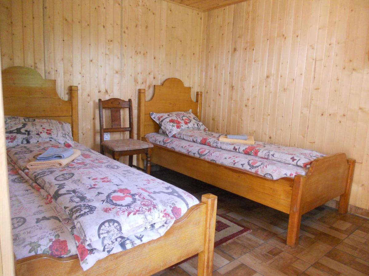 Pension, Camping & Biker Station Zur Deutschen Eiche Ciocanesti エクステリア 写真