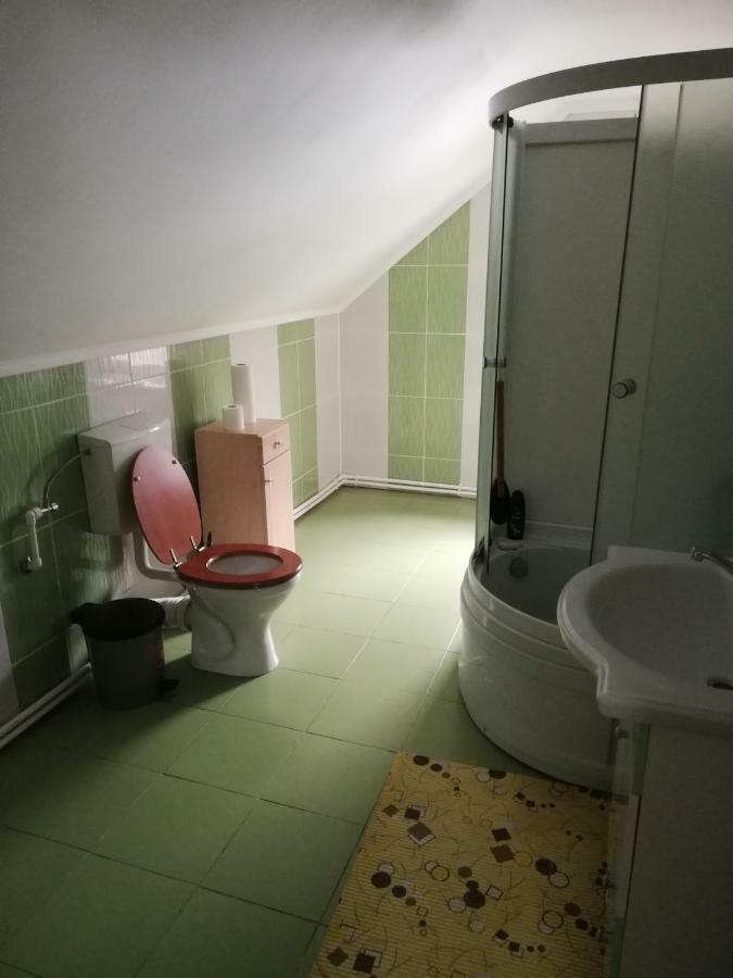 Pension, Camping & Biker Station Zur Deutschen Eiche Ciocanesti エクステリア 写真